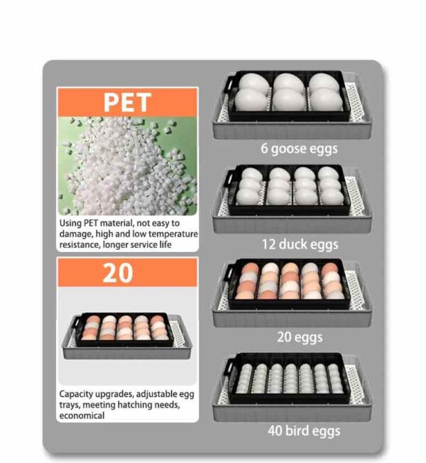 YZ9-20 HHD Egg Incubator - Fully Automatic 20 Eggs Mini Incubator - Image 3